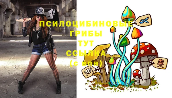 герыч Алексеевка